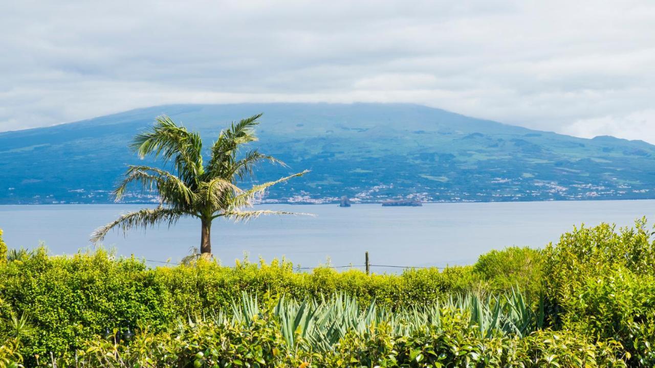Apartmán Quinta Do Torcaz Horta  Exteriér fotografie