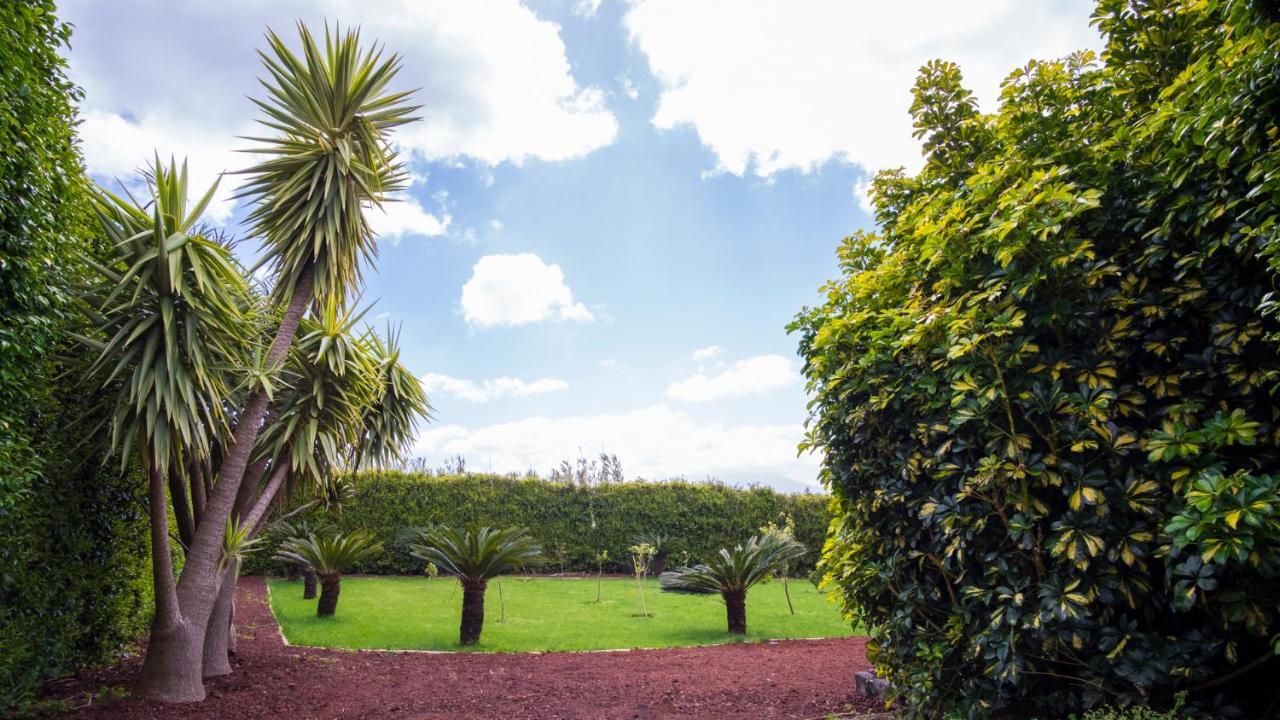 Apartmán Quinta Do Torcaz Horta  Exteriér fotografie